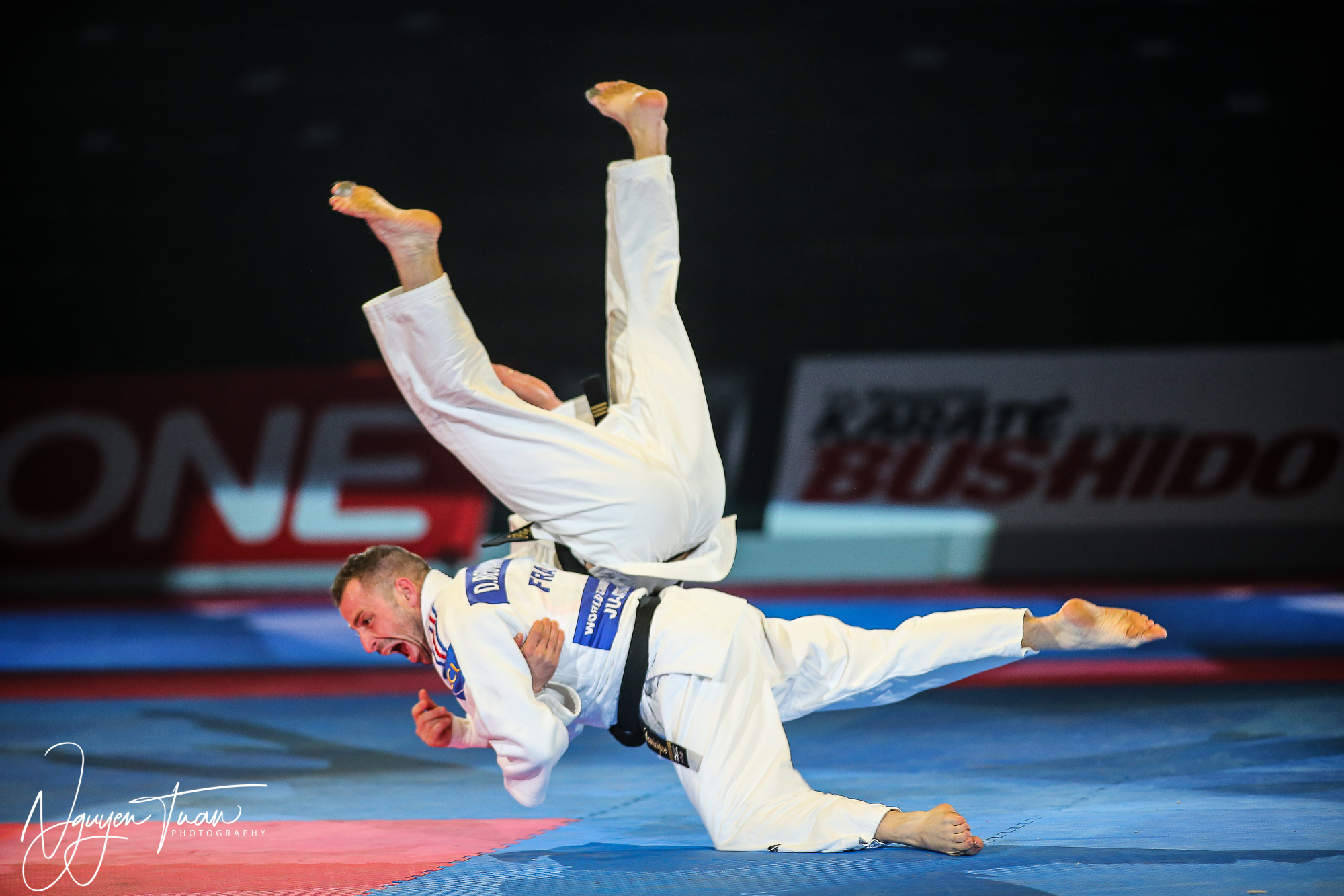 20190324 Festival des Arts Martiaux 1646